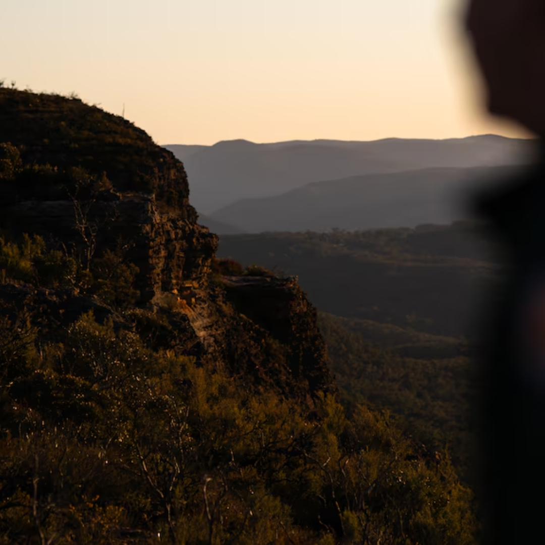 NSW National Parks Could be More Expensive to Visit.